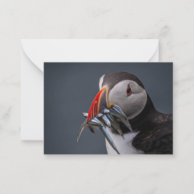 Bönsfiske Anteckningskort (Framsida)