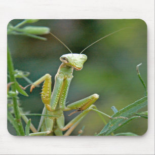 Bönsyrsa 475 Mousepad Musmatta