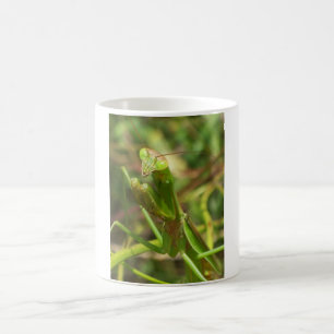 Bönsyrsa 8482 kaffemugg