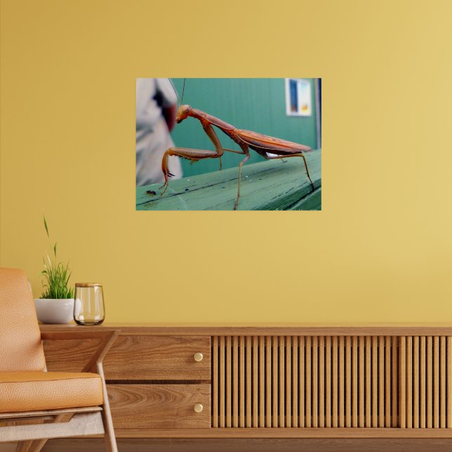 Bönsyrsa & myra poster (Vardagsrum 2)