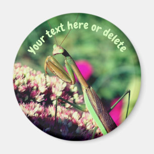 Bönsyrsa Natur Personlig Magnet