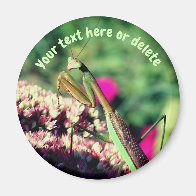Bönsyrsa Natur Personlig Magnet (Framsidan)