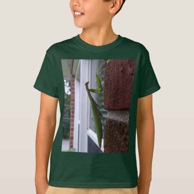 Bönsyrsa på tegelvägg t shirt (Framsida)