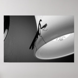 Bönsyrsa Poster