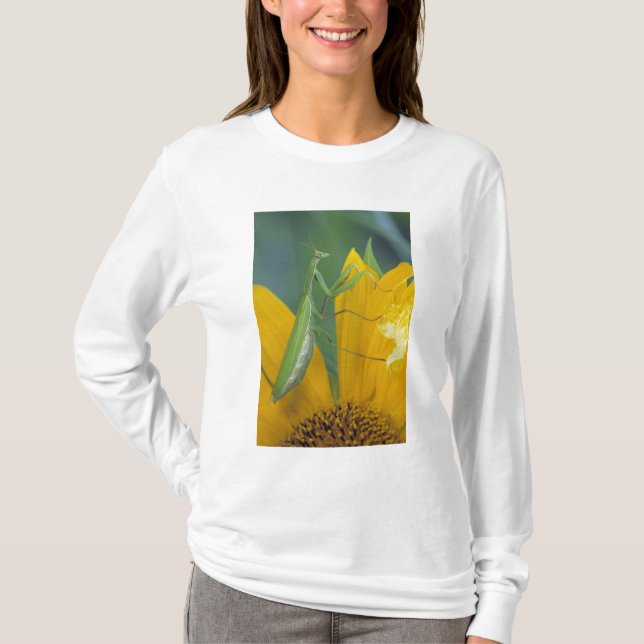 Bönsyrsa Tee Shirt (Framsida)