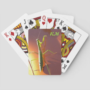 Bönsyrsadäck Casinokort