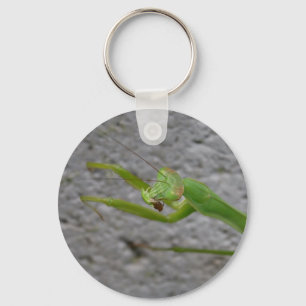 Bönsyrsakeychain Nyckelring
