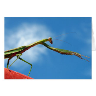 Bönsyrsan Hälsningskort