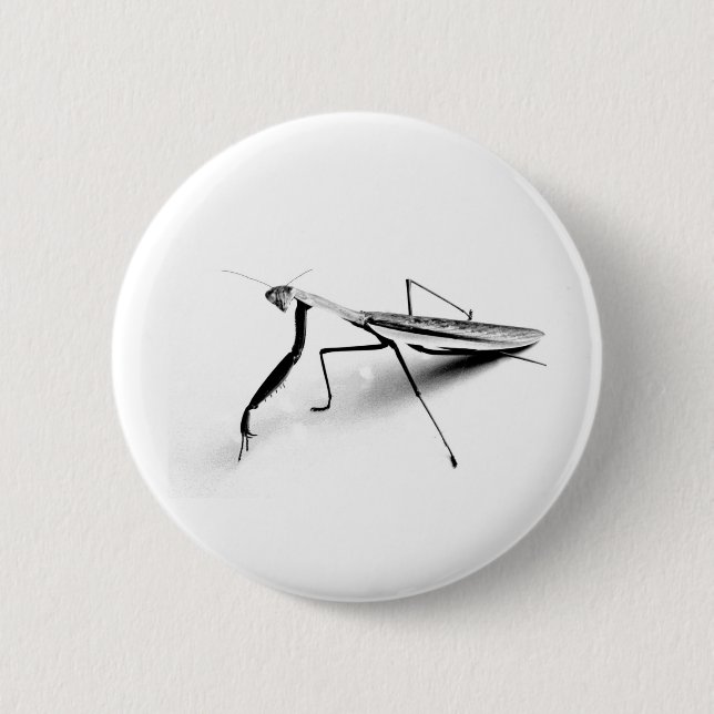 Bönsyrsasamling Knapp (Framsida)