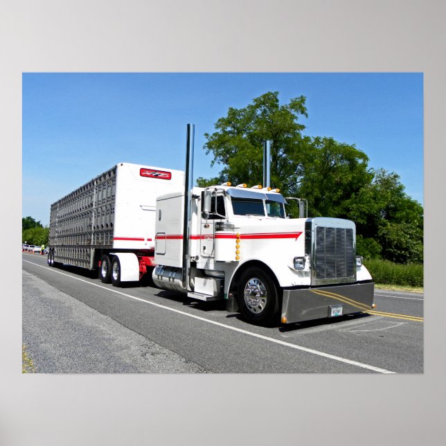 Bontragers 379 Poster (Framsidan)