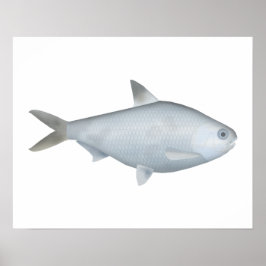 Bony Bream Poster