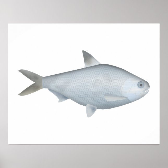 Bony Bream Poster (Framsidan)