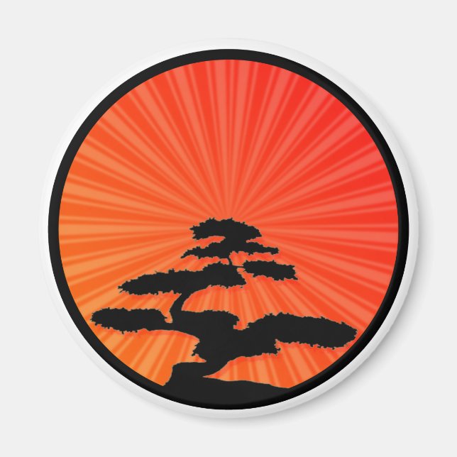 Bonzi Magnet (Framsidan)