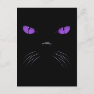 Boo - Amethyst Postcard Vykort