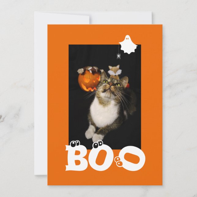 Boo Halloween Katt Spöke Spindel Ögon Photo Julkort (Framsida)