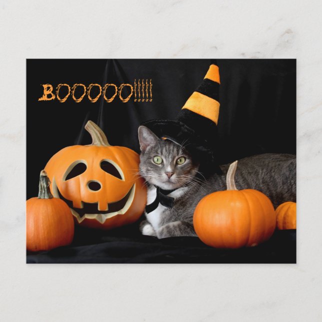 Boo Halloween-vykort med katt Vykort (Framsida)