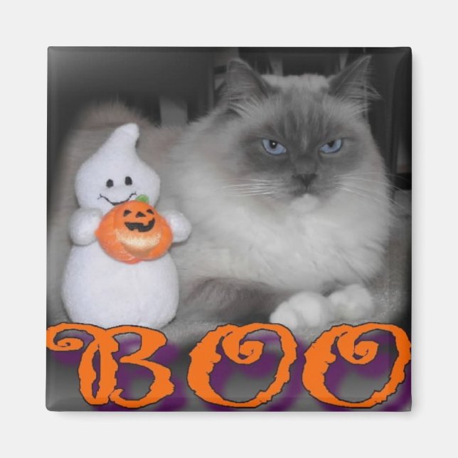 Boo Magnet (Framsidan)