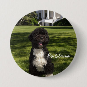 BoObama Knapp