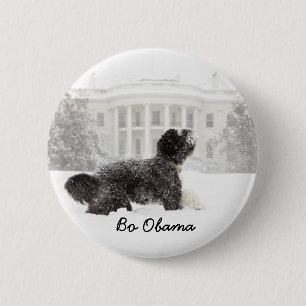 BoObama Knapp