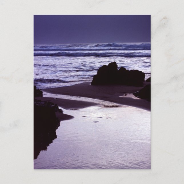 Boobys Bay Vykort (Framsida)