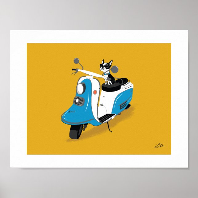 Boogie på Fuji Rabbit Poster (Framsidan)