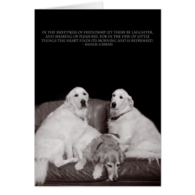 Bookends Gibran Poster Hälsningskort (Framsidan)