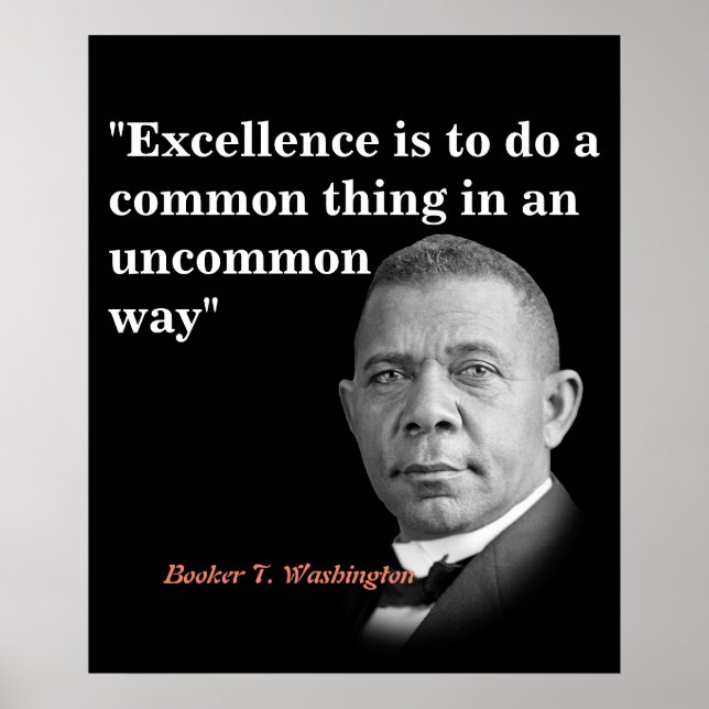 Booker T. Washington Quote on Excellence Poster (Framsidan)