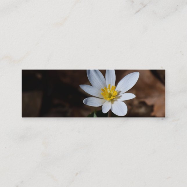 Bookmark för Wildblomma/kontaktkort Mini Visitkort (Framsida)