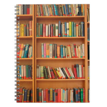 Bookshelf Bokar Bibliotek Bookworm Reading