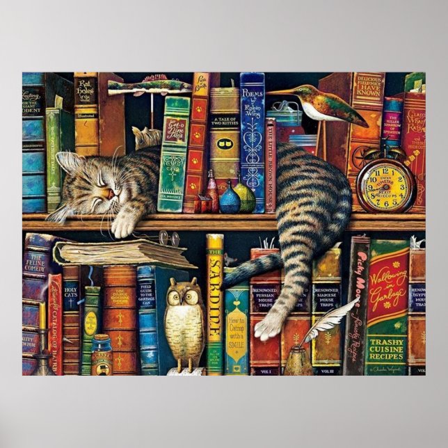 Bookshelf Cat Bibliotek katter Poster (Framsidan)