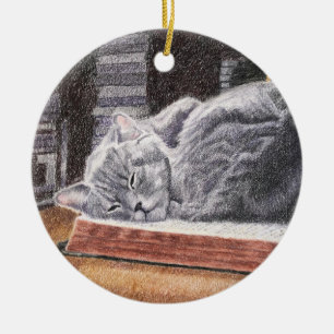 Bookstore Cat Julgransprydnad Keramik