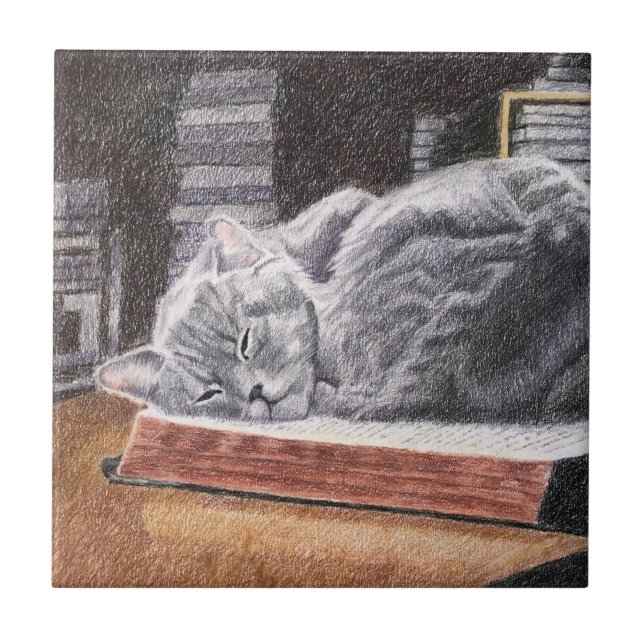 Bookstore Cat Kakelplatta (Framsidan)