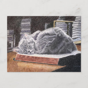 Bookstore Cat Vykort