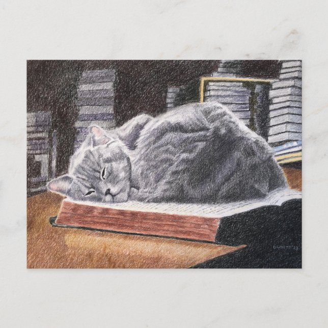 Bookstore Cat Vykort (Framsida)