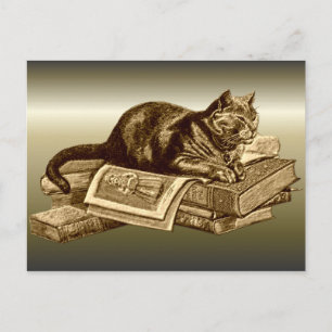 Bookworm Kattunge Reading Bokar Vykort