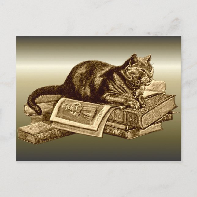 Bookworm Kattunge Reading Bokar Vykort (Framsida)
