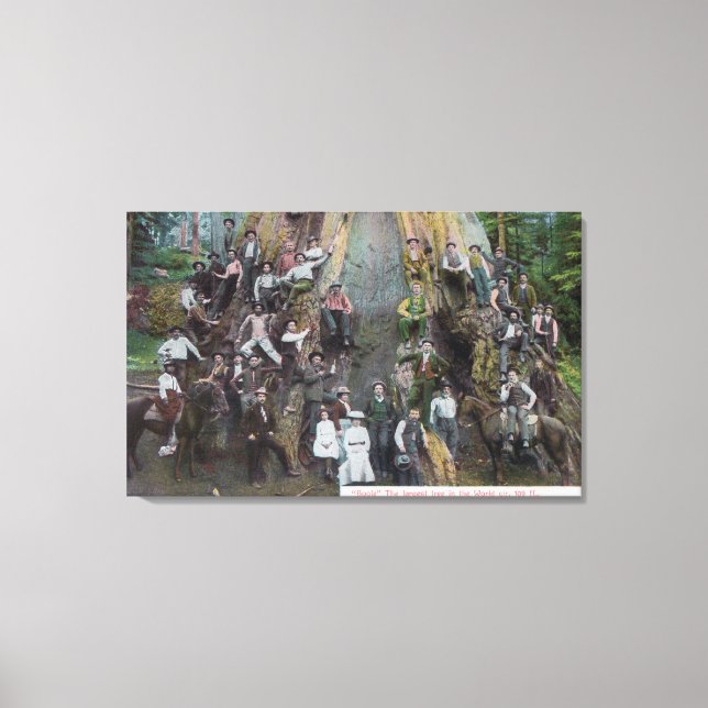 Boole, världens största Träd Canvastryck (Framsida)