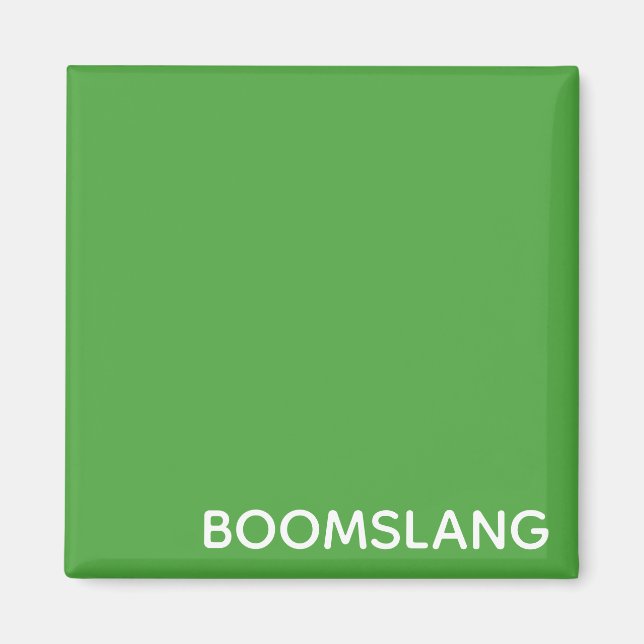 Boomslang grönt färg namn magnet (Framsidan)