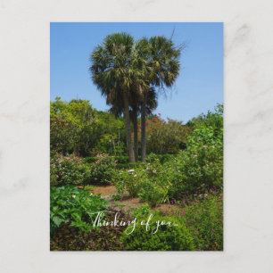 Boone Hall Garden tänker på ditt vykort