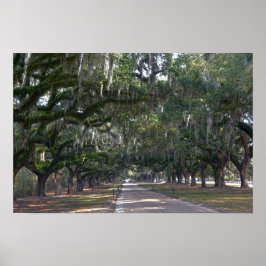 Boone Hall Plantation Ekallé av ekar Poster