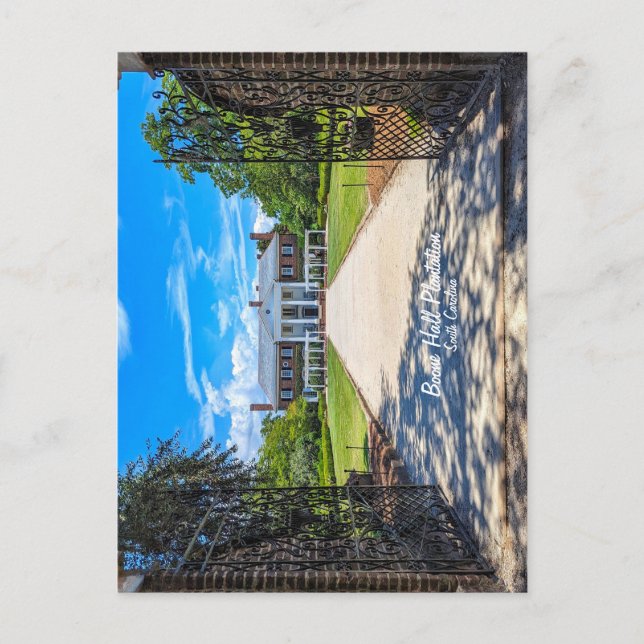 Boone Hall Plantation Postcard Vykort (Framsida)