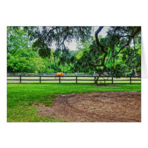 Boone Hall Stables Greeting Card Hälsningskort