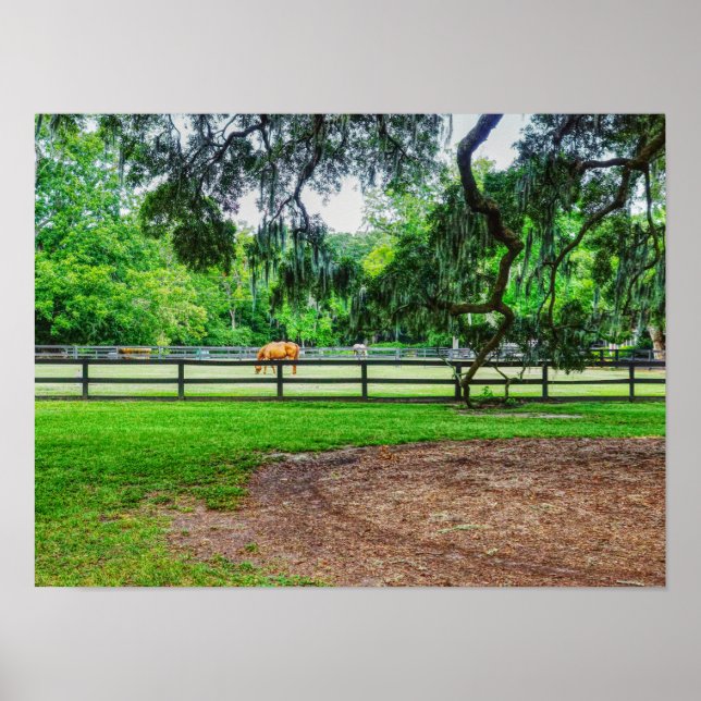 Boone Hall Stables Poster (Framsidan)