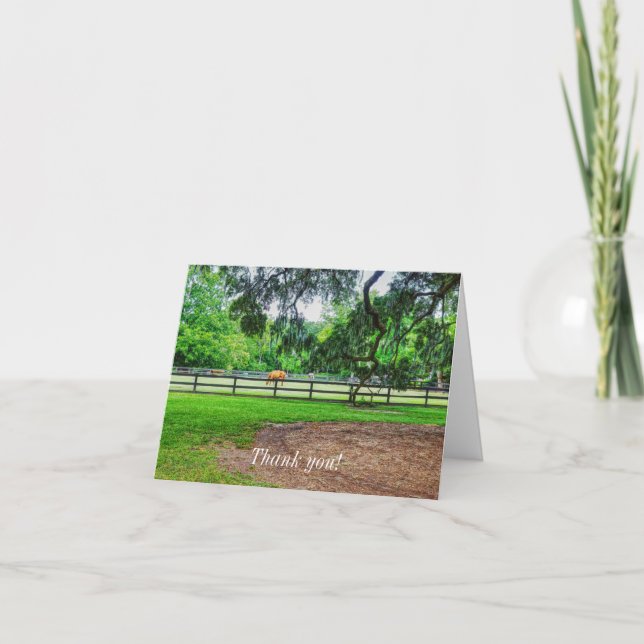 Boone Hall Stables - tackkort (Framsida)
