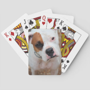 Boop Casinokort