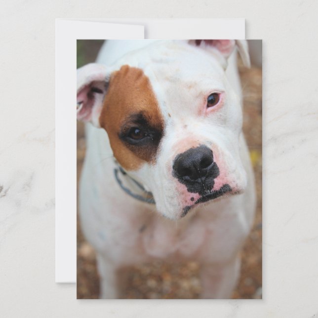 Boop Inbjudningar (Framsida)