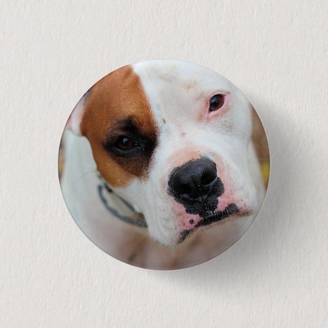 Boop Knapp (Framsida)