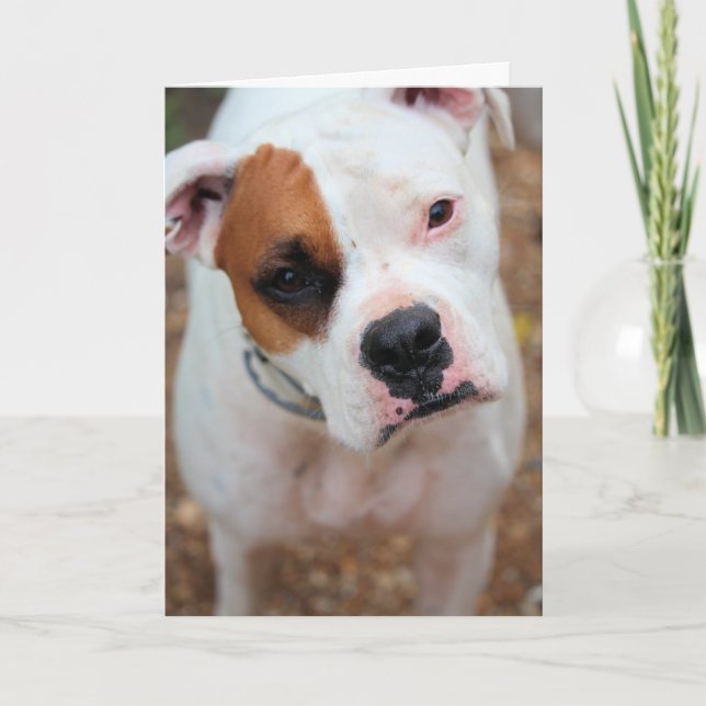 Boop Kort (Framsida)