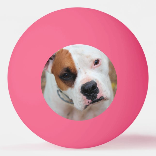 Boop Pingisboll (Framsidan)