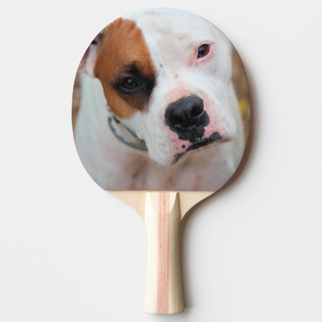 Boop Pingisracket (Framsidan)